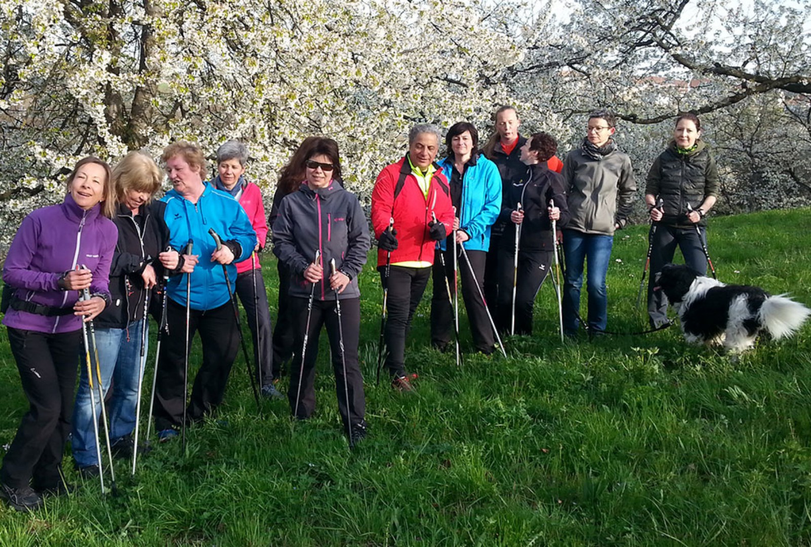 Nordic Walking